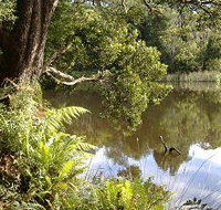 Weldborough Camping Ground - Accommodation Newcastle