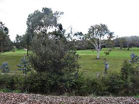 Bicheno Holiday Rentals - Hazards View Drive Coles Bay - Accommodation Newcastle 1