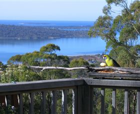 Bed In The Treetops - Accommodation Newcastle 2