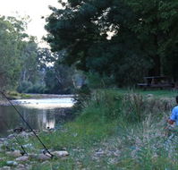 Gentle Annie Caravan and Camping Reserve - Accommodation Newcastle