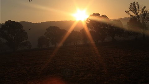 Gentle Annie Caravan And Camping Reserve - Accommodation Newcastle 1