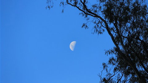 Gentle Annie Caravan And Camping Reserve - Accommodation Newcastle 4
