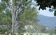 Gentle Annie Caravan And Camping Reserve - thumb 3