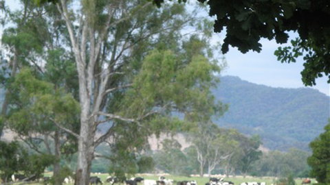 Gentle Annie Caravan And Camping Reserve - Accommodation Newcastle 3