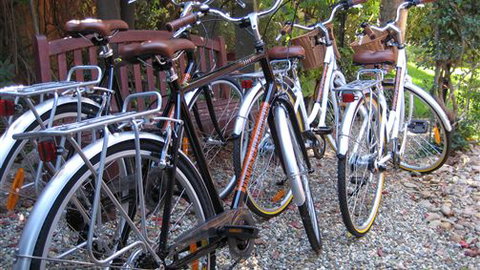 Finches Of Beechworth - Accommodation Newcastle 2