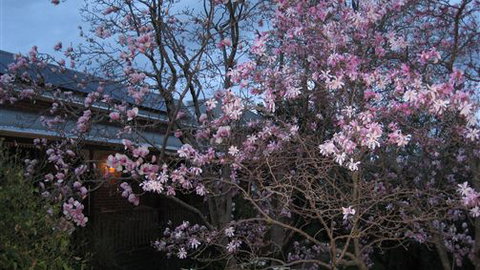 Finches Of Beechworth - Accommodation Newcastle 3