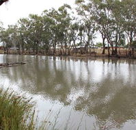 Riverbank Caravan Park - Accommodation Newcastle