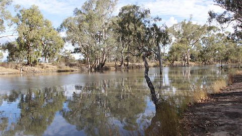 Riverbank Caravan Park - Accommodation Newcastle 5