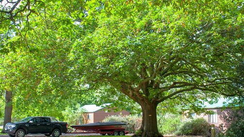 Camperdown VIC Accommodation Newcastle