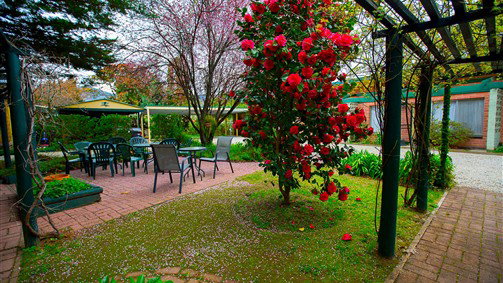 Bright VIC Accommodation Newcastle