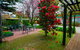Carawatha Gardens - thumb 0