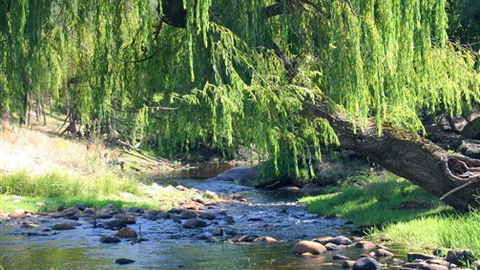 Elmstead Cottages - Accommodation Newcastle 5