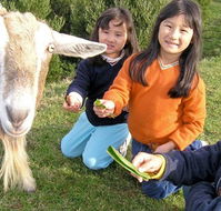 Johanna River Farm and Self Contained Cottages - Accommodation Newcastle
