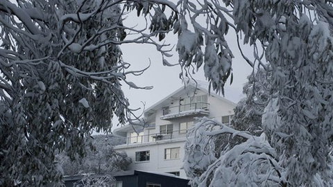 Attunga Alpine Lodge And Apartments - Accommodation Newcastle 0