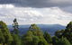 Lyrebird Cottages - thumb 4