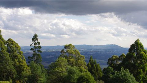 Lyrebird Cottages - Accommodation Newcastle 4