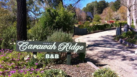 Carawah Ridge Bed And Breakfast - Accommodation Newcastle 0