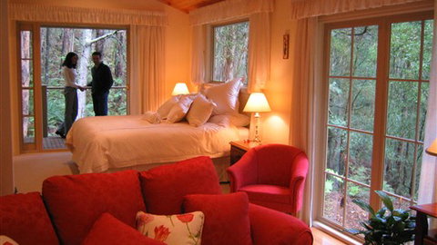 Myers Creek Cascades Luxury Cottages - Accommodation Newcastle 4