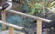 Myers Creek Cascades Luxury Cottages - thumb 5