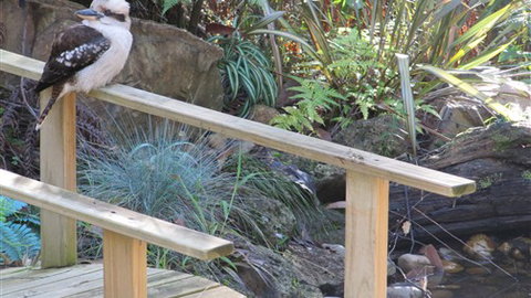 Myers Creek Cascades Luxury Cottages - Accommodation Newcastle 5