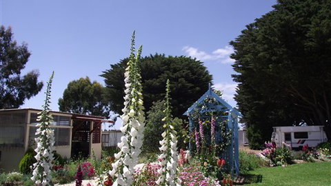 Colac Otway Caravan & Cabin Park - Accommodation Newcastle 1