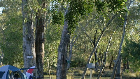 Numurkah Caravan Park - Accommodation Newcastle 2