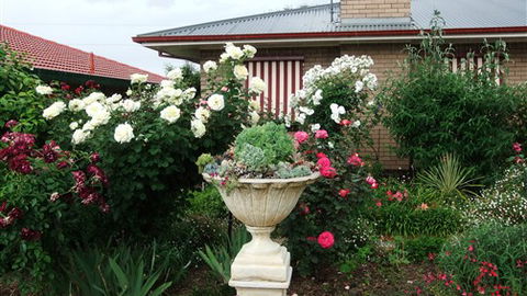 Admurraya House Bed And Breakfast - Accommodation Newcastle 5