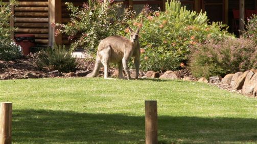  Accommodation Newcastle