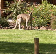 Southern Grampians Cottages - Accommodation Newcastle