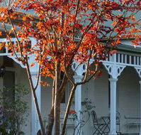 Yarra Gables Motel - Accommodation Newcastle