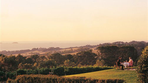 Arthurs Seat VIC Accommodation Newcastle