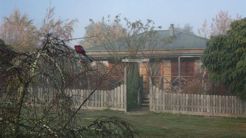 Sanctuary Park Cottages - Accommodation Newcastle 1