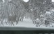 Leeton Lodge - thumb 6
