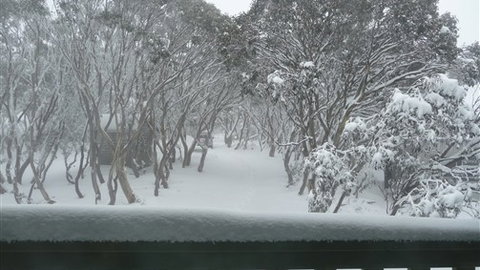 Leeton Lodge - Accommodation Newcastle 6