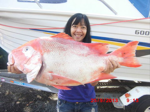 Flying Fish Point Tourist Park - Accommodation Newcastle 6
