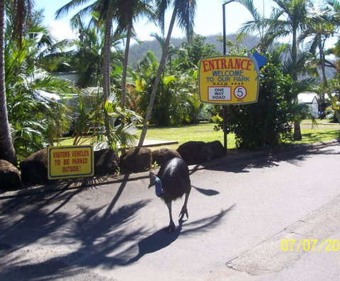 Flying Fish Point Tourist Park - Accommodation Newcastle 9