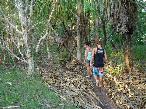 Berry Creek Bush Retreat - Accommodation Newcastle 7