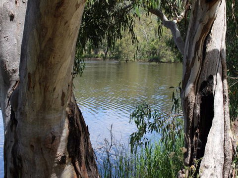 Bumberry Dam - Accommodation Newcastle 1