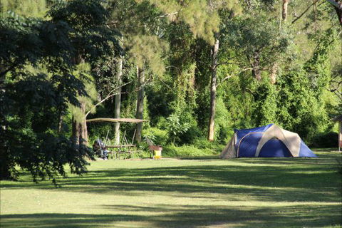 Creel Lodge - Accommodation Newcastle 18