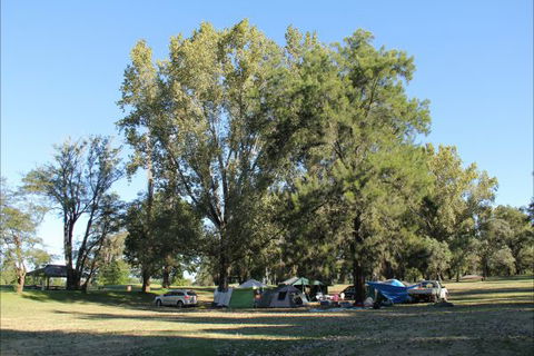 Creel Lodge - Accommodation Newcastle 20