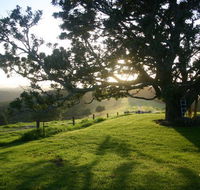 Kilfeacle Farm Cottage - Accommodation Newcastle