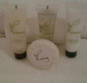 Briars Country Lodge and Historic Inn - Accommodation Newcastle