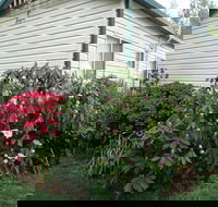 Jenolan Caravan Park - Accommodation Newcastle