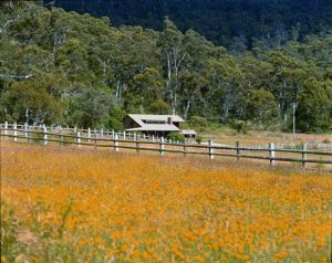 Pender Lea Alpine Guest Accommodation - Accommodation Newcastle 1