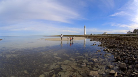 Point Lowly Lighthouse Cottages - Accommodation Newcastle 4