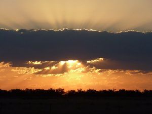 Collie NSW Accommodation Newcastle