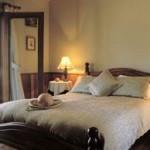 Jervis Bay Retreat - Accommodation Newcastle 0