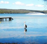 Dungowan Waterfront  Accommodation - Accommodation Newcastle