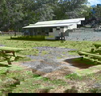 Creel Lodge - Accommodation Newcastle