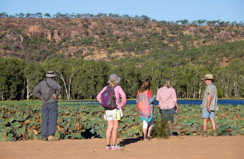 Mount Nancar Wilderness Retreat - Accommodation Newcastle 5